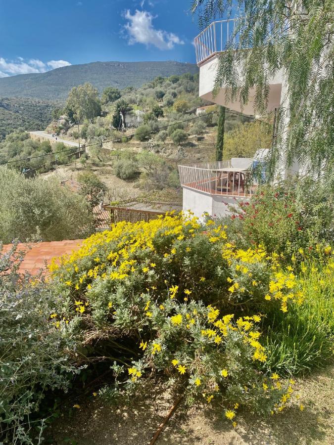 Apartmán Ses Terrasses Cadaqués Exteriér fotografie